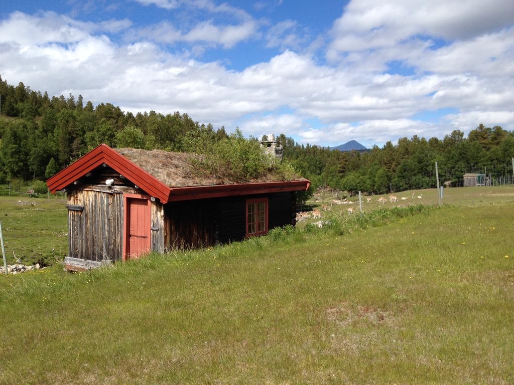 Rondane Friluftssenter Rondetunet Brenn Pokoj fotografie