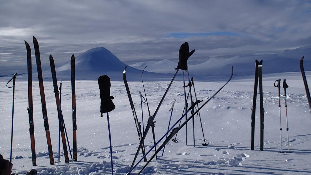 Rondane Friluftssenter Rondetunet Brenn Exteriér fotografie